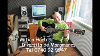 Mitica Harb  Invartita de MaramuresVOB [upl. by Adiarf354]