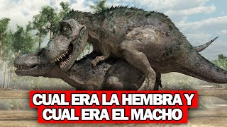 quotComo se definía la sexualidad de un Dinosaurioquot 😲 [upl. by Rolan]