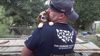 South Carolina Puppy Mill Rescue [upl. by Kasper]