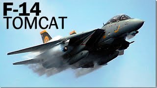 F14 Tomcat  the TOP GUN [upl. by Eidna]