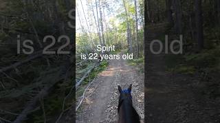 🐎Things Endurane Riders Say🐎endurancehorse horseriding trailriding equestrian pov [upl. by Nogem]