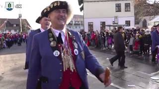 Narrentreffen 60 Jahre Heuliecherzunft Mariazell 27012019 [upl. by Ebag]