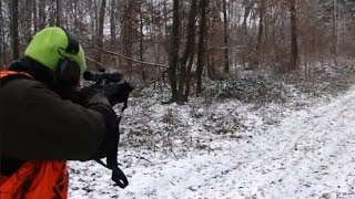 Polowanie zbiorowe  strzał do dzika  Vildsvinsjakt  Chassis Au Sanglier  Drückjagd [upl. by Max]