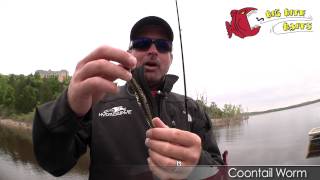 Big Bite Baits Russ Lane  Coontail Worm wJeff Kriet [upl. by Stochmal311]