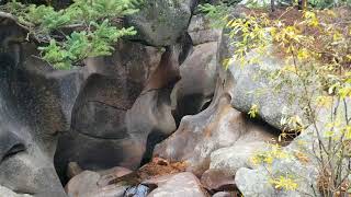 The Grottos Trail Aspen Colorado [upl. by Forrester165]