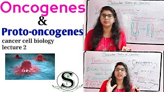 Oncogenes and Proto Oncogenes \ Oncogenes biochemistry \ Molecular basis of Cancer [upl. by Enaitsirk561]