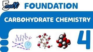 lecture 4 CHO Proteoglycans vs Glycoproteins [upl. by Col]