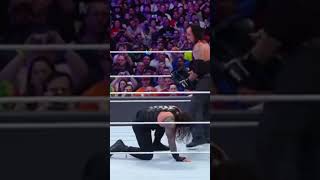 Undertaker vs Roman Reigns WrestleMania 33 [upl. by Shandee617]