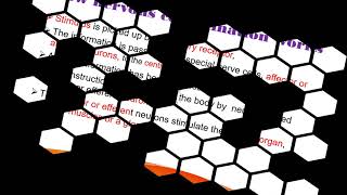 Grade 10 Biology Unit 3 Human Biology and Health Part one In Amharic [upl. by Akinna]