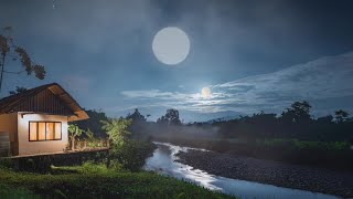 Relaxing Piano Music and Night Nature Sounds with Crickets Sleep Music Stress Relief Fall Asleep [upl. by Abdulla]