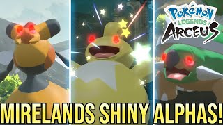 BEST Route for SHINY ALPHA Pokemon Crimson Mirelands  Pokemon Legends Arceus [upl. by Hapte909]