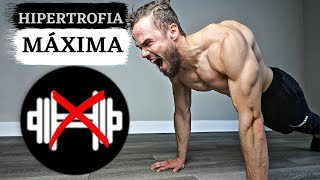 Treino para ECTOMORFO Atingir MÁXIMA Hipertrofia Muscular em Casa SEM EQUIPAMENTOS [upl. by Durrace]