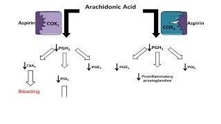 Asprin NSAID  Mechanism of Action antiinflammatory action [upl. by Quitt885]