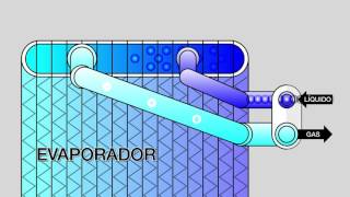 Función del Evaporador Animación 2D [upl. by Zane442]