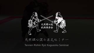 Tennen Rishin Ryū Kogusoku Seminar  Yoroi armor practice [upl. by Trautman27]