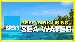 FAQ 36 Can I use ocean water in my reef tank  52 FAQ [upl. by Ailimaj431]