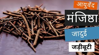 10 Health Benefits of Manjistha Root स्किन से लेकर ​डायबिटीज़ तक मंजिष्ठा के 10 फायदे  Jeevan Kosh [upl. by Kcarb289]