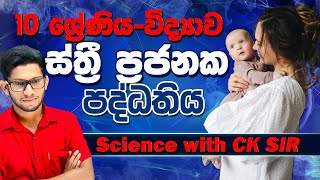 ස්ත්‍රී ප්‍රජනක පද්ධතිය  grade 10  science  විද්‍යාව  10 ශ්‍රේණිය  lesson 14 day 02 CK science [upl. by Eeima]