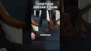 KESETIAAN TERAKHIR DIMEDAN P3RANG [upl. by Racklin]