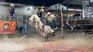 JARIPEO EN CAHUATACHE GUERRERO EN LA FIESTA DEL SANTO PATRÓN SANTA CRUZ DE APOSTOLADO [upl. by Jemena]