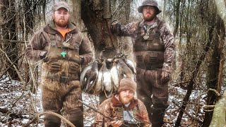 4 LIMITS of Gadwall SNOWDAY [upl. by Elise]