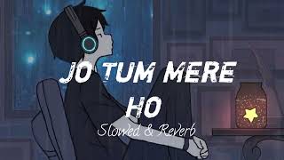 ❤️Lofi music 💗Jo Tum Mere Ho Slowed amp Reverb Song 🎧 slowedreverblovesong lofisong music song [upl. by Ormsby]