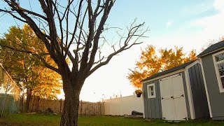 Old wooden shed Refurbishment Timelapse 木制旧棚屋翻新延时录影 [upl. by Tews]