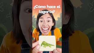 🦎 menique leon lagarto lobo videosgraciosos 123andres alfabeto aprendeespañol education [upl. by Tri]