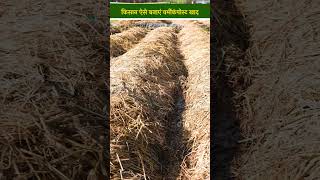 ऐसे बनाते हैं Vermicompost Manure और इतने दिनों में तैयार होती है खाद। Organic Manure  shorts [upl. by Allimrac]