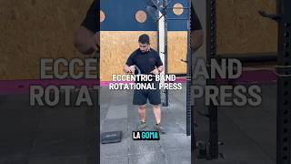 tendinitis tendinite mobilitytraining entrenamientodefuerza entrenamientoonline shoulderpain [upl. by Sabina]