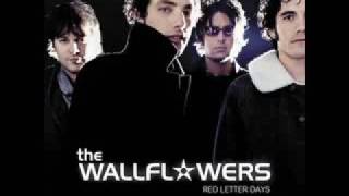 The Wallflowers One Headlight videoo [upl. by Darnell292]