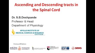 Ascending and Descending Tracts in the Spinal cord [upl. by Nodaj]