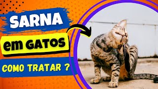 SARNA EM GATOS  COMO TRATAR  TRATAMENTO CASEIRO [upl. by Erlene]