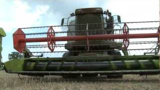 Shooting rabbits from a combine harvester [upl. by Ahsiena]