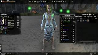 Eigene Builds Heilerin für Veteranverliese und Raids The Elder Scrolls Online [upl. by Liatrice190]