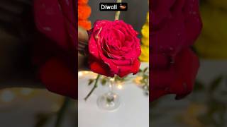 Ep 4 of Diwali decorations ideas youtubeshorts diy diwali diwalidecorations [upl. by Moina178]