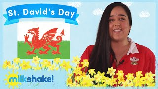 St Davids Day  Sita  Milkshake [upl. by Asylla]