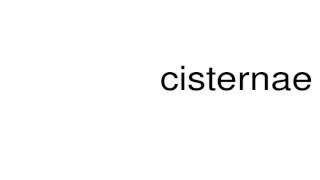 How to pronounce cisternae [upl. by Cherry]