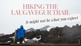 Icelands Laugavegur Trail II Expectations too high [upl. by Dahs89]