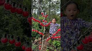 Survival Skills single mom with CANDY stoberry skills survival camping bushcraft outdoor [upl. by Kcub]