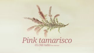 05  Pink tamarisco  nujazz colors lofi vintagemusic [upl. by Kinsman]