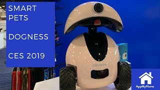 CES 2019 Dogness Smart Pet Products especially the robot dog [upl. by Airtemad624]