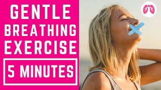 Buteyko Inspired Breathing Exercises  5 Minutes  TAKE A DEEP BREATH [upl. by Eenhat]