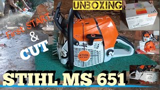 Stihl MS 651 unboxing review firststart [upl. by Bela941]