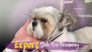 Shih Tzu Grooming Tutorial  StepbyStep Guide for Beginners  Mastering the Art of Shih Tzu Care [upl. by Klug538]