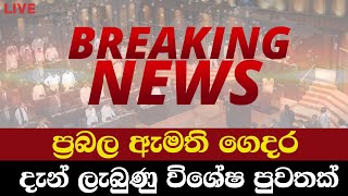 ප්‍රබල ඇමති ගෙදරමෙන්න දැන් ලැබුණු විශේෂ පුවතක්  Breaking News [upl. by Bonine]