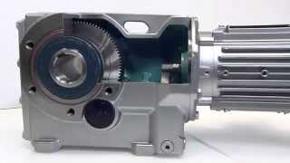 SIMOGEAR  Motoreductores Siemens [upl. by Hoon]