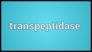 Transpeptidase Meaning [upl. by Sherl]