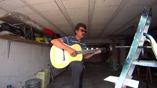 Lamandier GEORGES BRASSENS cover guitare [upl. by Siugram]