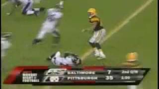 Hines Ward kills Ed Reed [upl. by Glorianna]